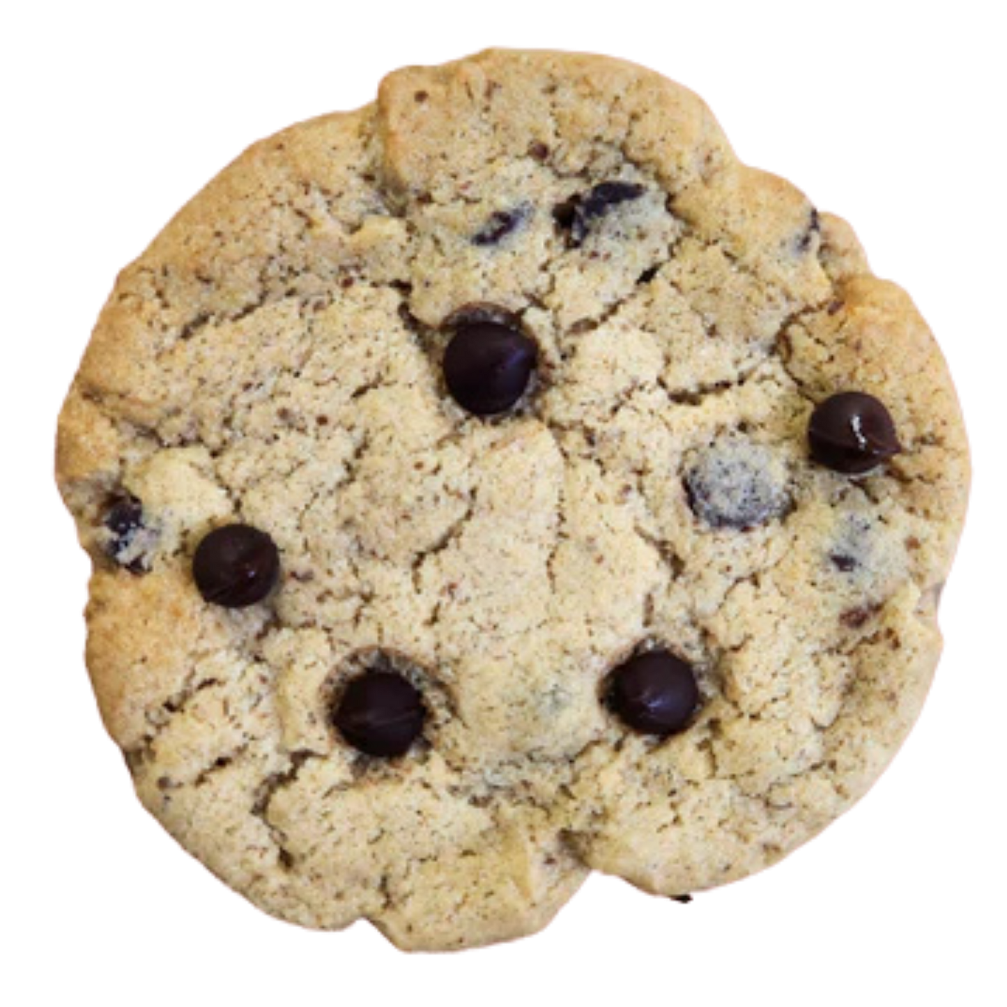 Coco Chocolate Chip